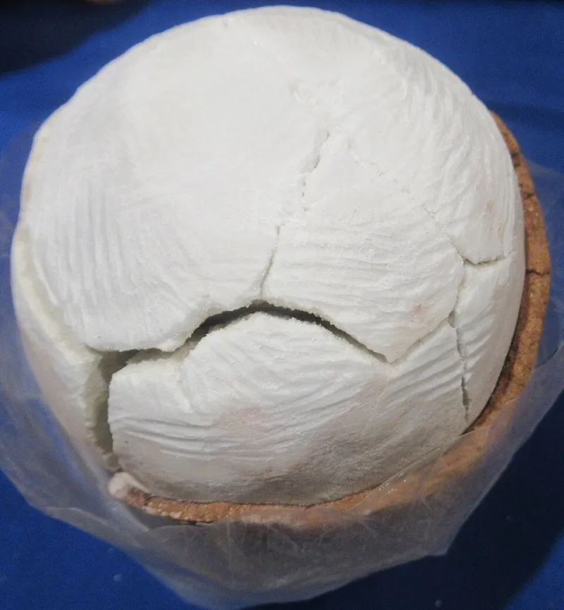 Salt People Are Real and They Will Judge Your Morton's to Your Face