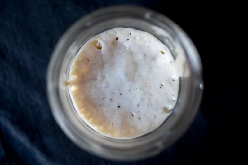 You Named It, You Feed It, You Talk to It: The Sourdough Starter Has Replaced Your Therapist